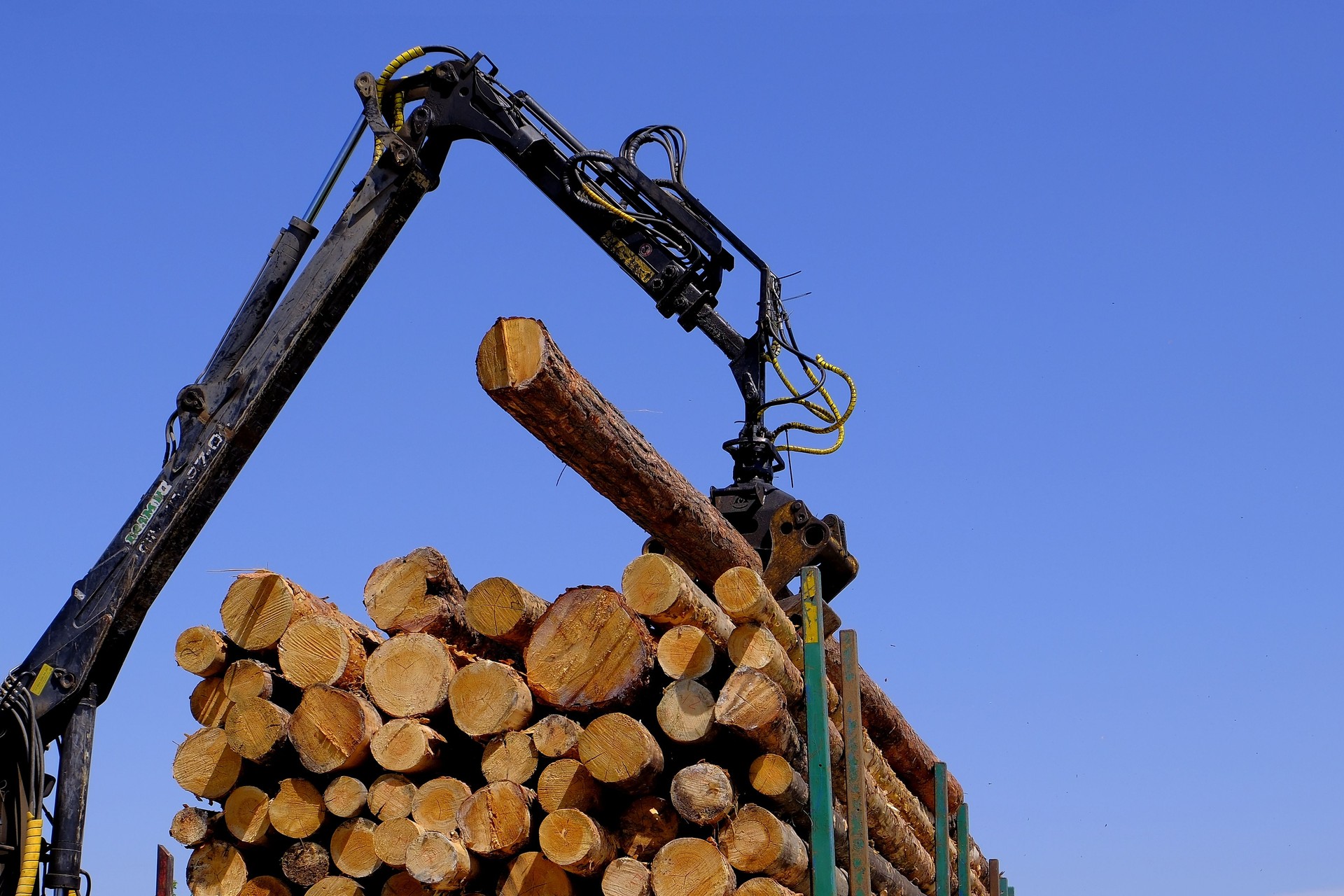 Capturing pine logs with a manipulator mechanism